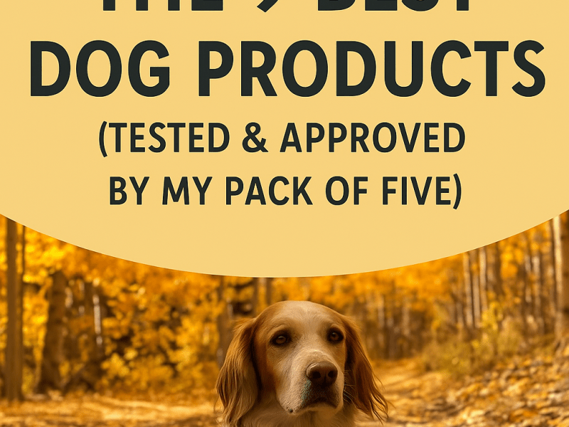 My 9 Favorite Dog Products (Tested & Approved by My Pack of&nbsp;Five)🐾