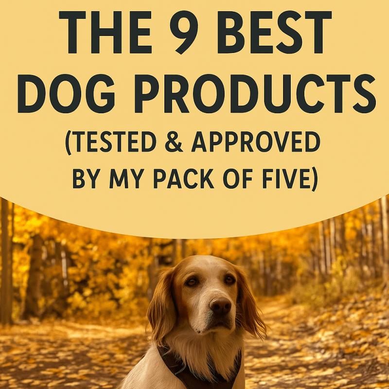 My 9 Favorite Dog Products (Tested & Approved by My Pack of&nbsp;Five)🐾